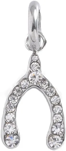 Alex and Ani Interchangeable Gemstone Bar Charm
