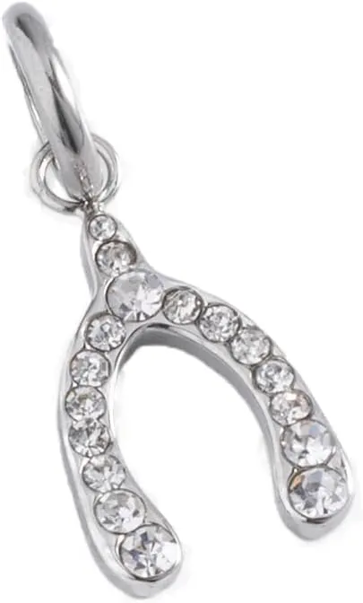 Alex and Ani Interchangeable Pave Wishbone Charm
