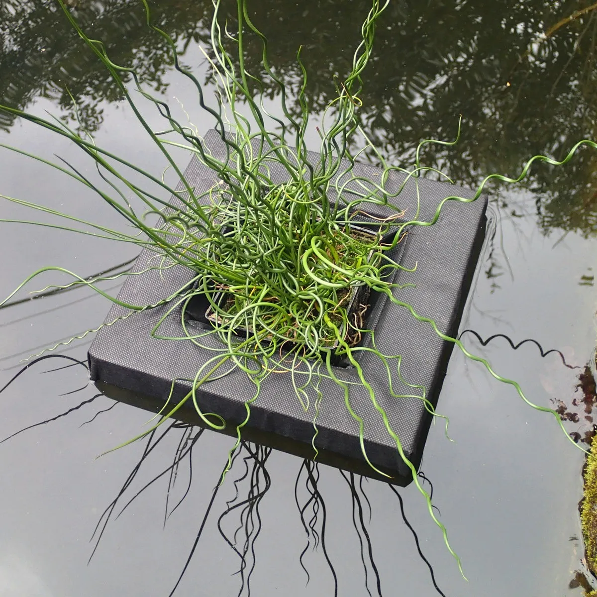 Floating Aquatic Basket Square