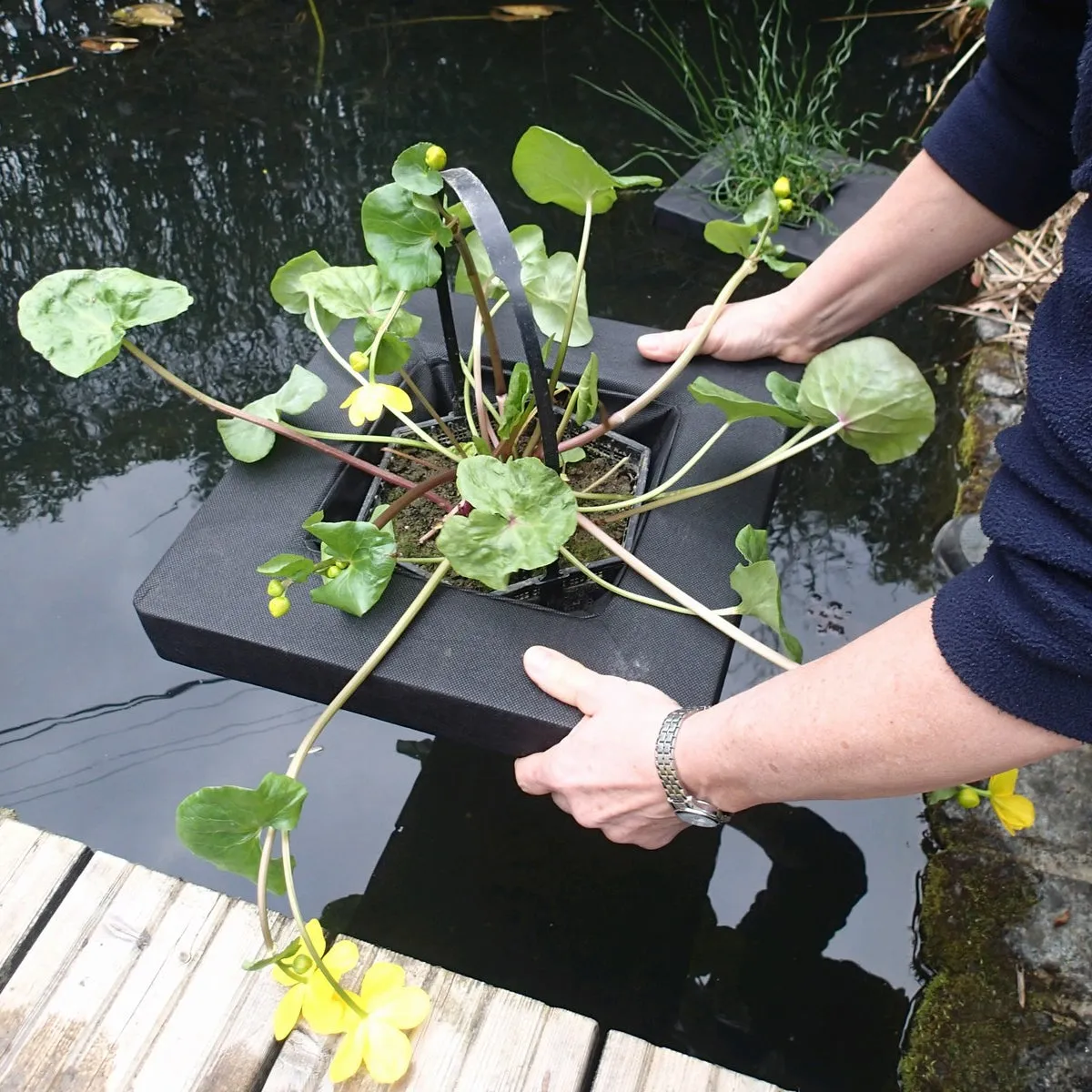 Floating Aquatic Basket Square
