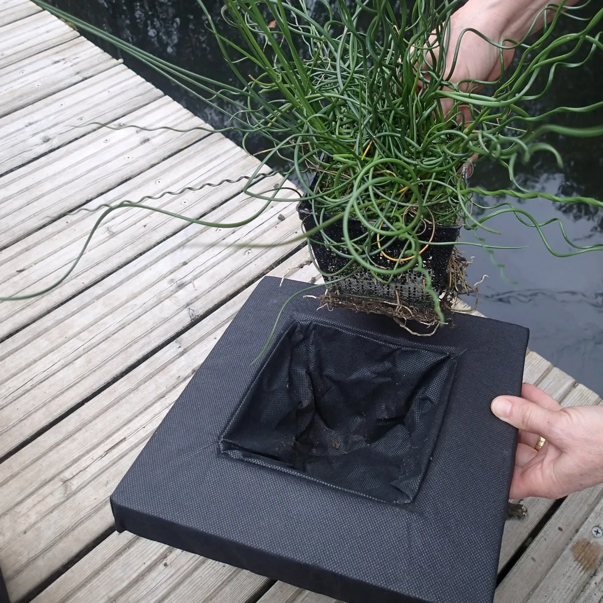Floating Aquatic Basket Square