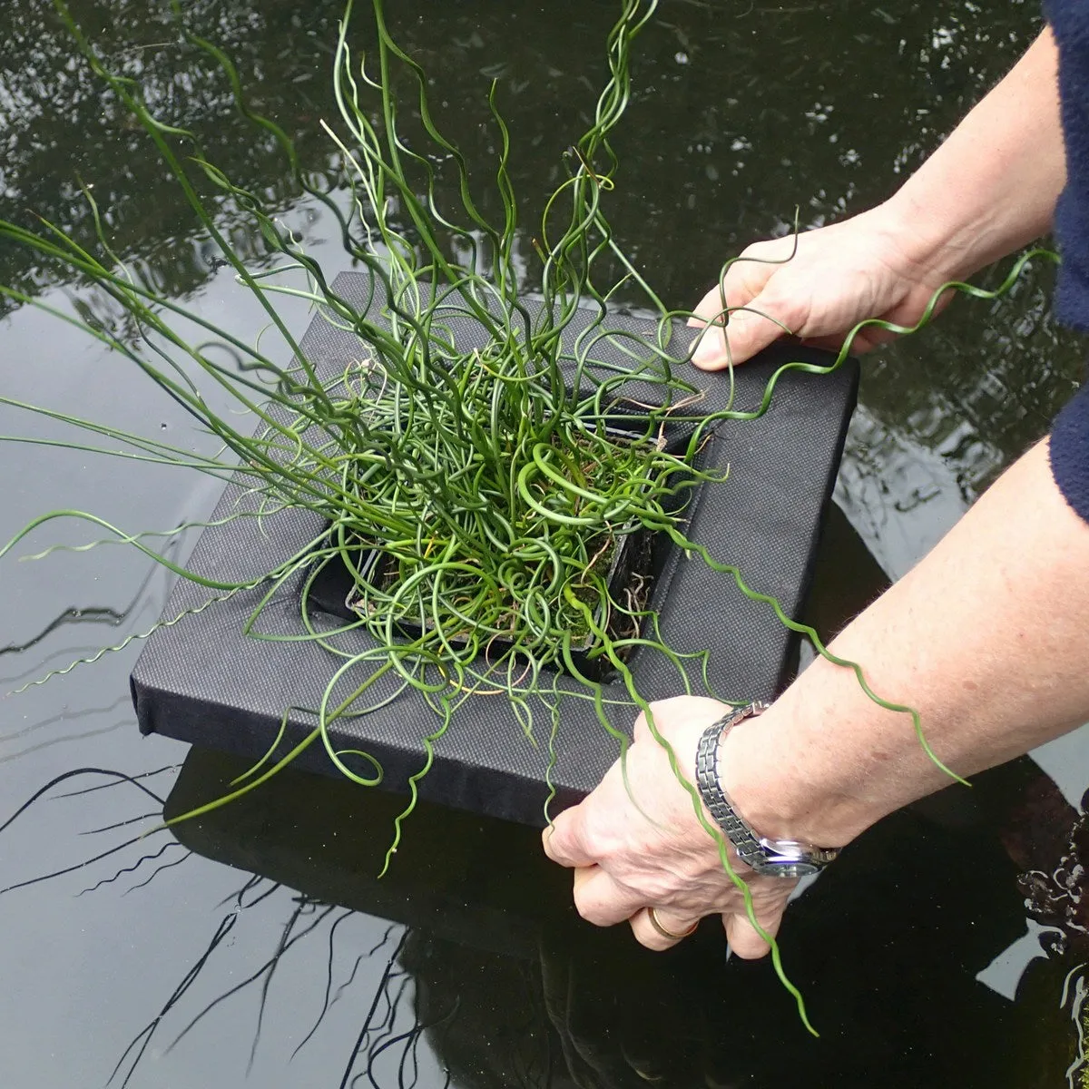 Floating Aquatic Basket Square