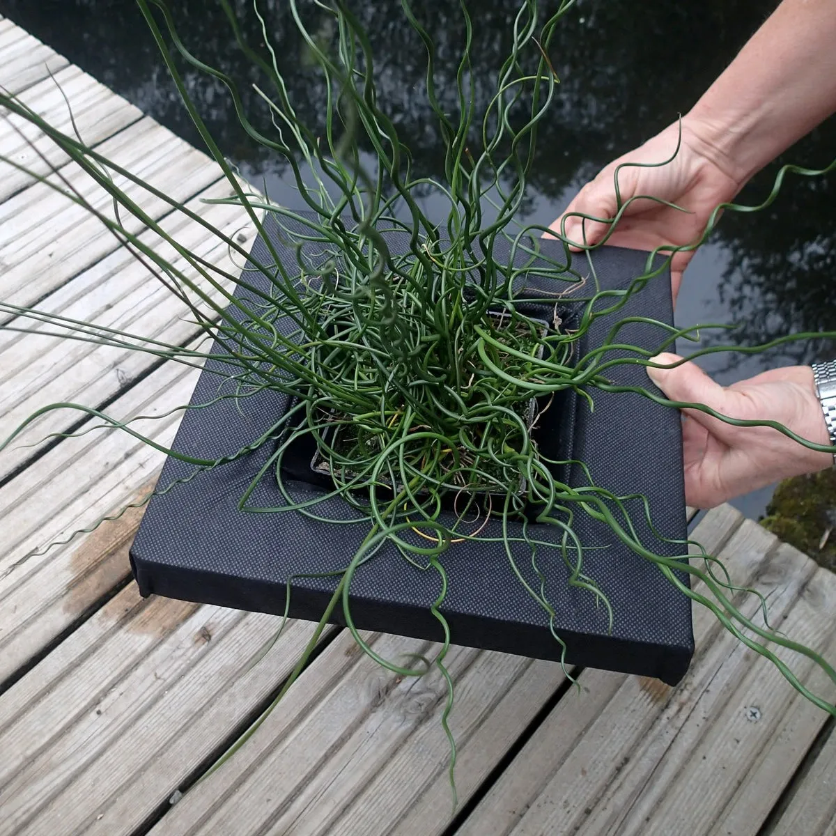 Floating Aquatic Basket Square