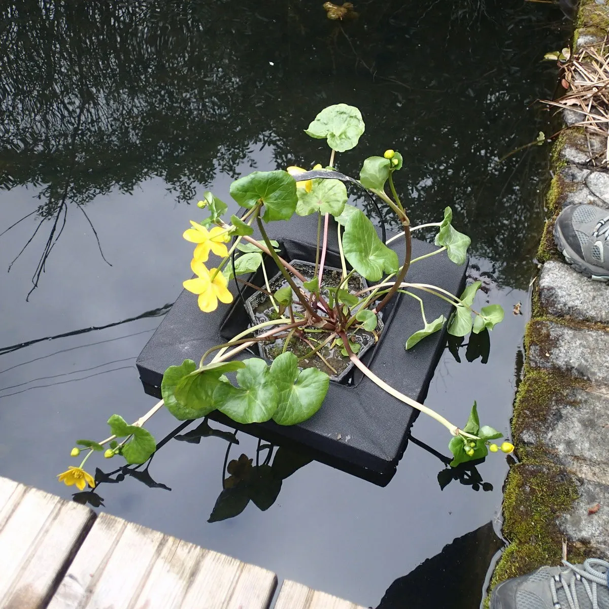 Floating Aquatic Basket Square