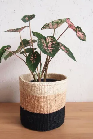 Small Cave Storage Basket
