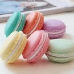 Sweet Stash Macaroon Case